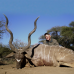 Spiral Horn Trophy Hunt
